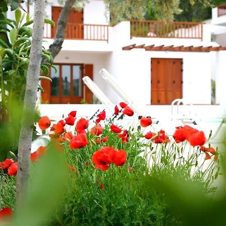 Summer Homes Apartment