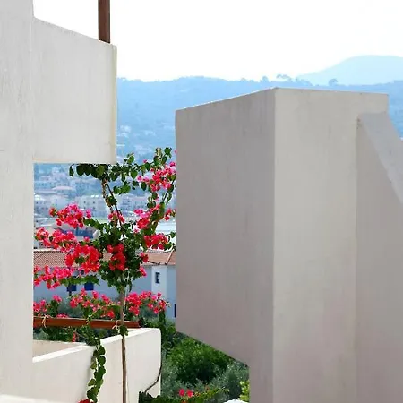 Summer Homes Skopelos Town